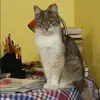 Отзыв от Клара Фирсова